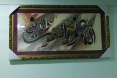 Jamia-12